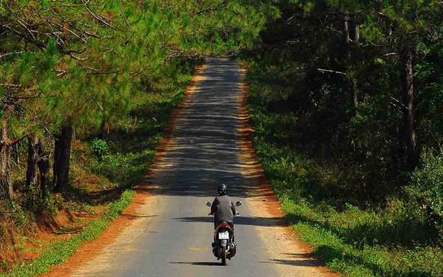 Khám Phá Địa Đàng Xanh – Review Du Lịch Măng Đen Thú Vị