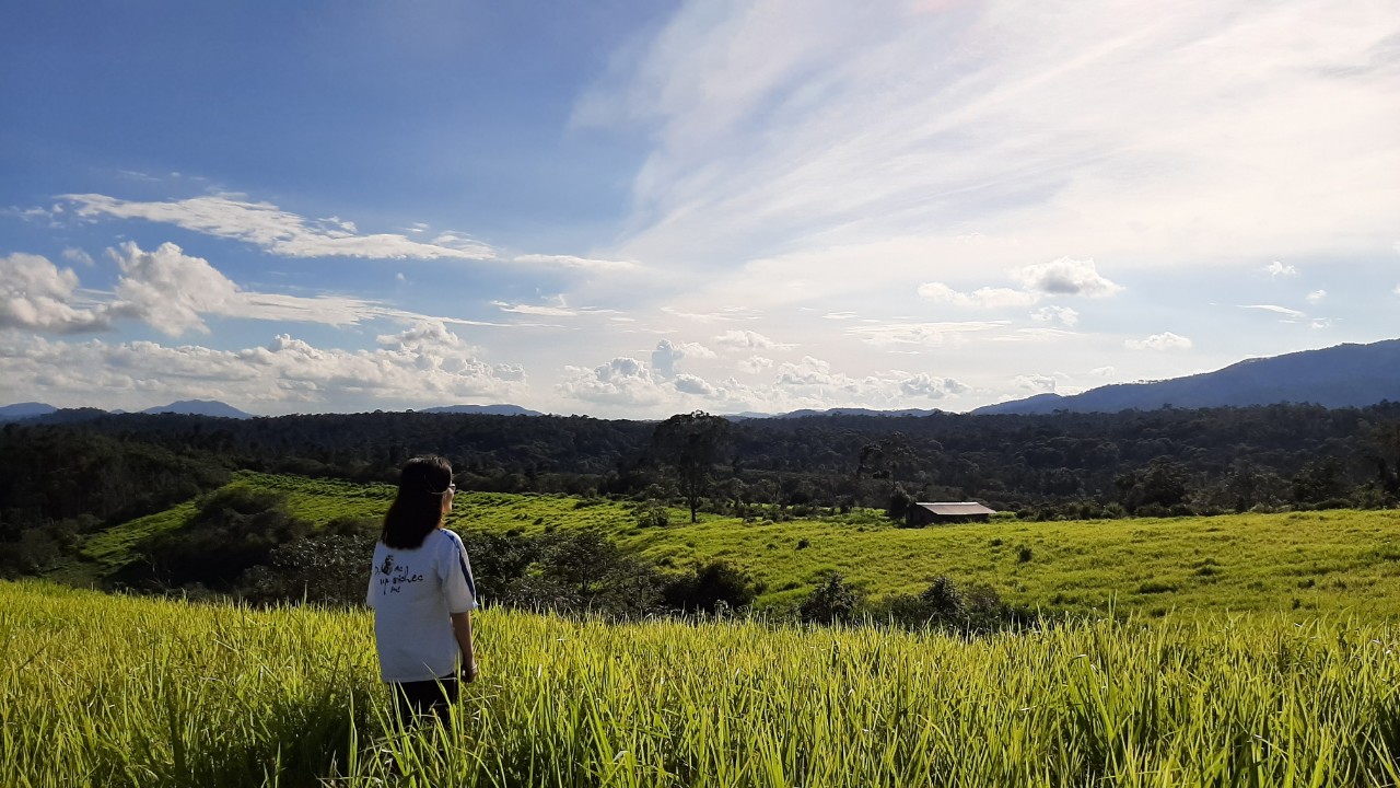 Khám Phá Địa Đàng Xanh – Review Du Lịch Măng Đen Thú Vị