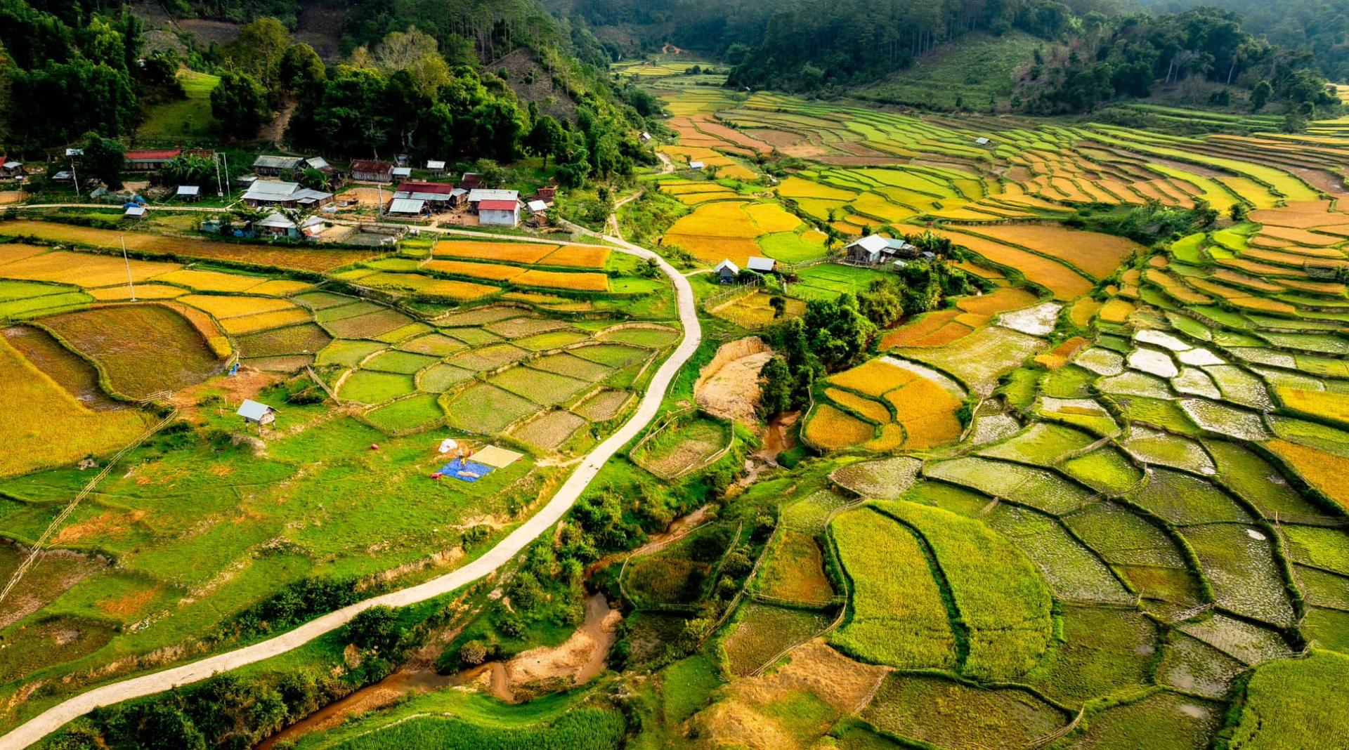 Mùa vàng trên cao nguyên Măng Đen - Đài phát thanh và truyền hình Nghệ An