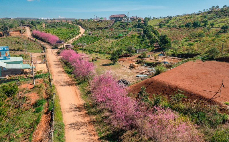 Top Những Địa Điểm Ngắm Hoàng Hôn Đẹp Mê Li Tại Măng Đen - Khám Phá Sự Huyền Ảo Của Thiên Nhiên