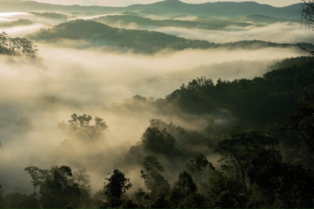 Biển mây Măng Đen Biển mây Măng Đen