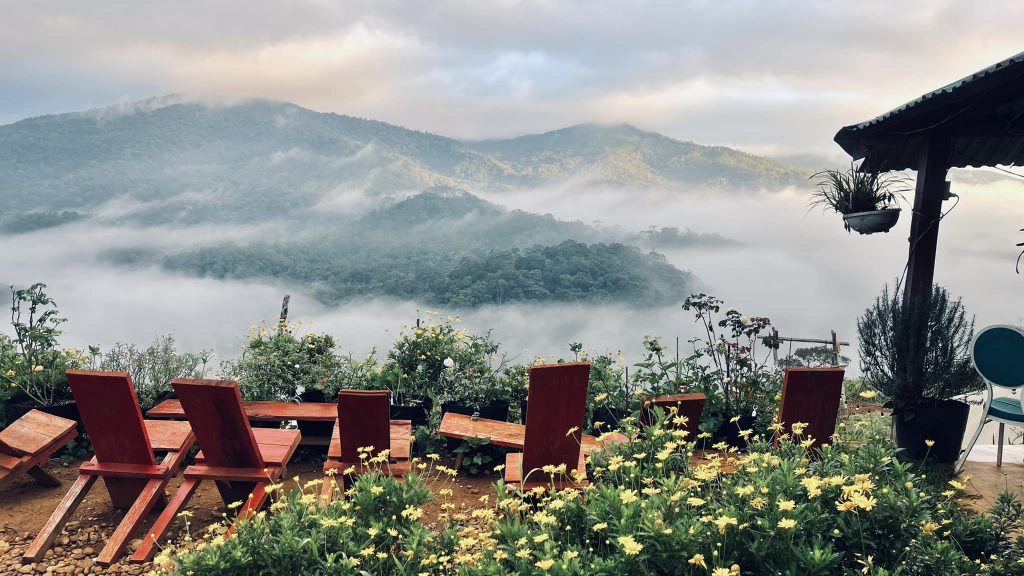 GlampRose Cafe Măng Đen view mây