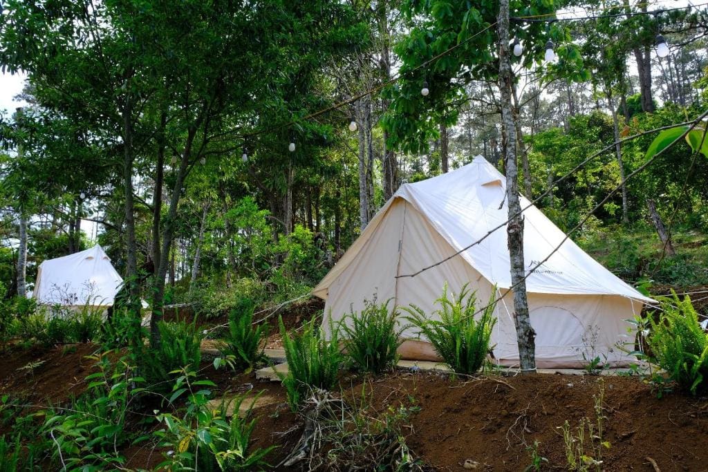 Glamping săn mây Măng Đen