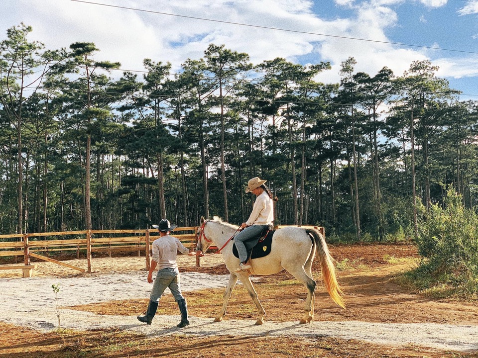 Trại ngựa Măng Đen