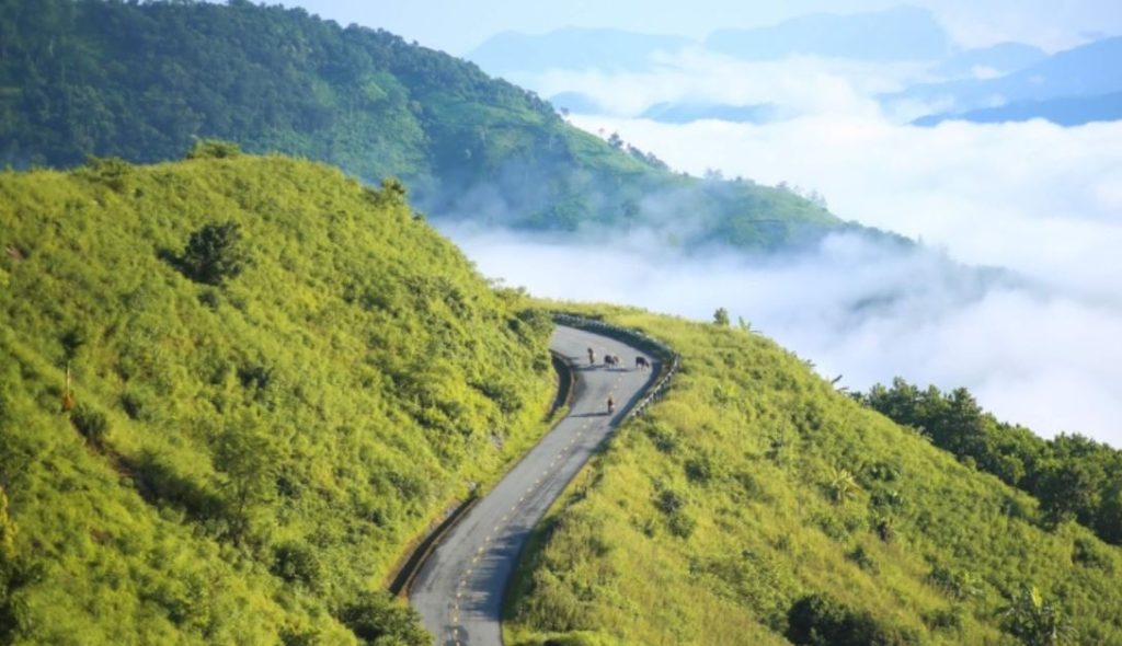 cắm trại mây Đèo Violak Măng Đen