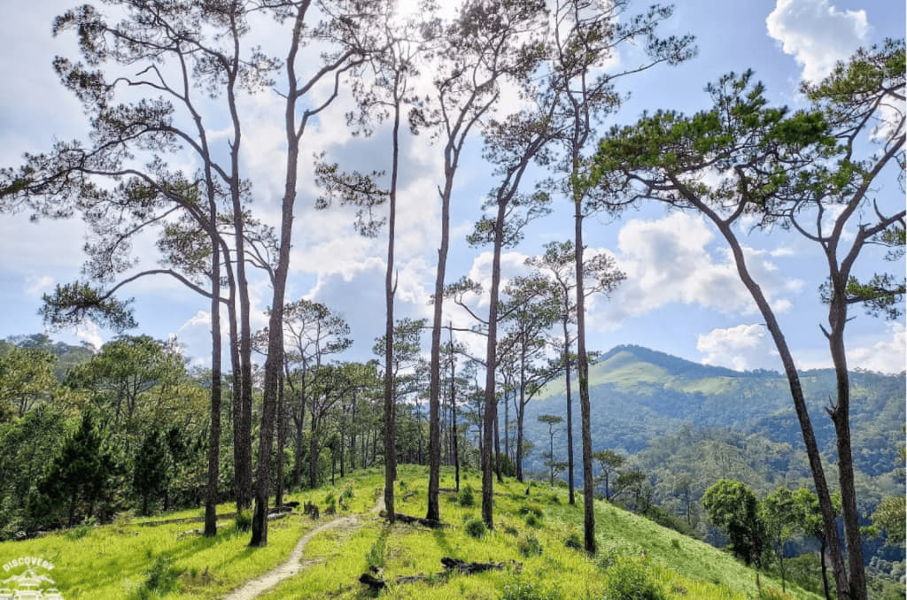 Đỉnh Ngọc Lễ Măng Đen