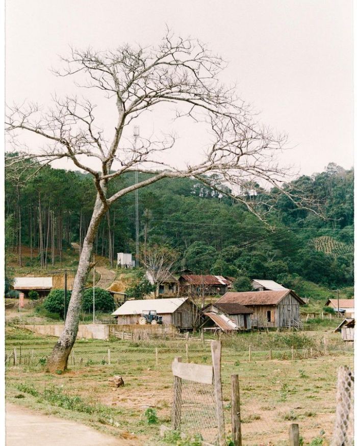 Người dân tộc Xê Đăng Măng Đen: