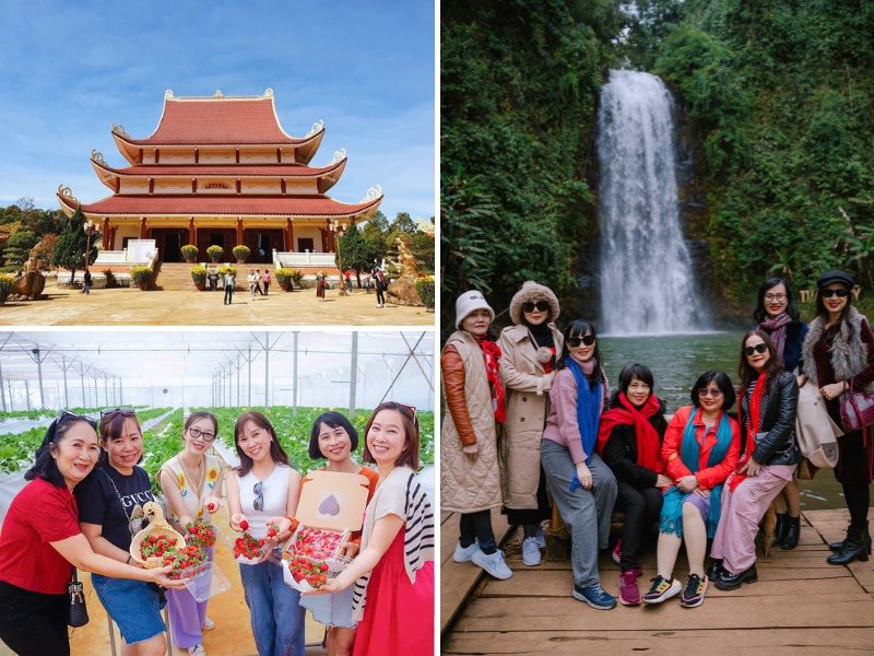 Đồi Gió Hú Măng Đen Đồi Gió Hú Măng Đen